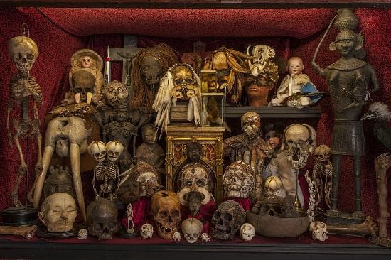 Place The Viktor Wynd Museum of Curiosities, Fine Art & Natural History