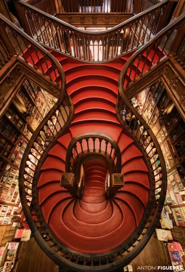 Moda Livraria Lello