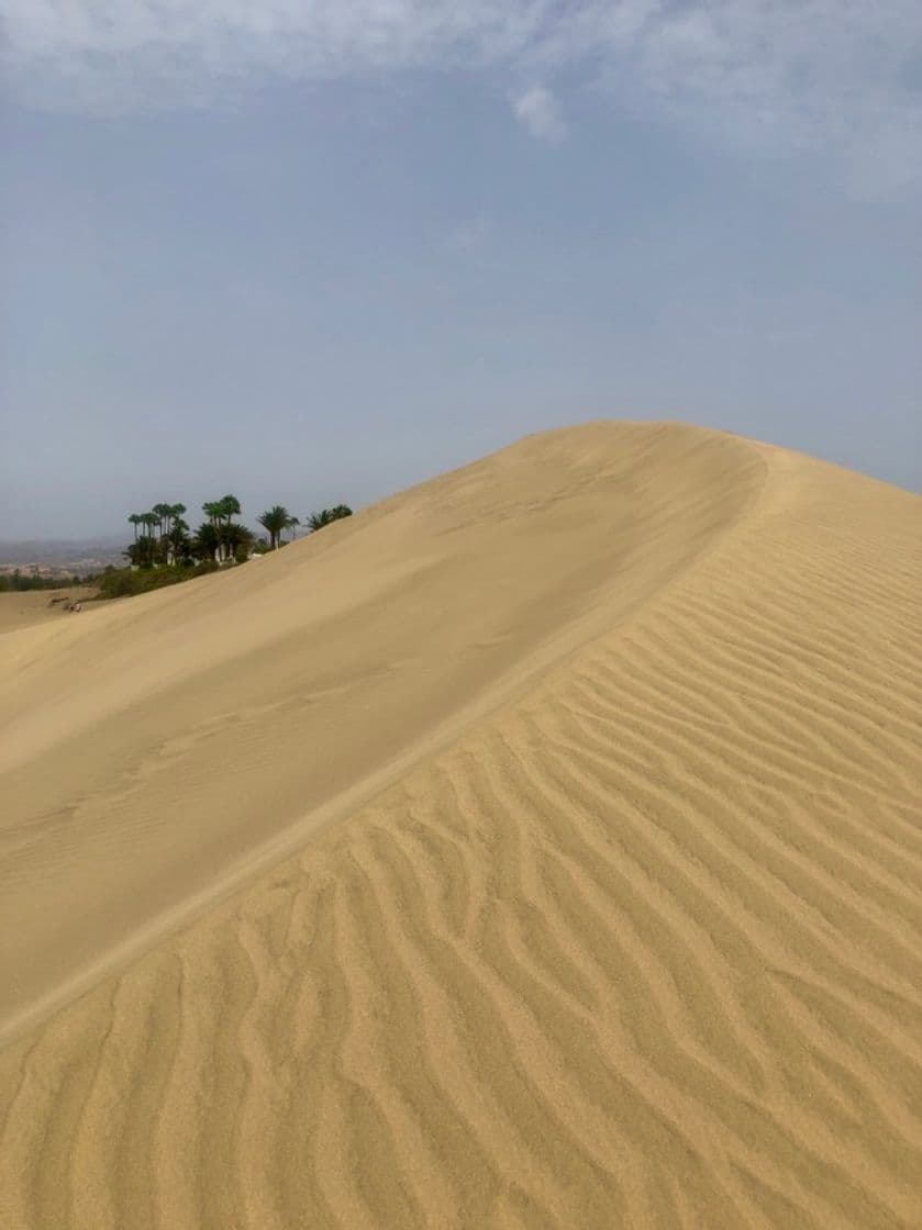 Place Dunas de Maspalomas