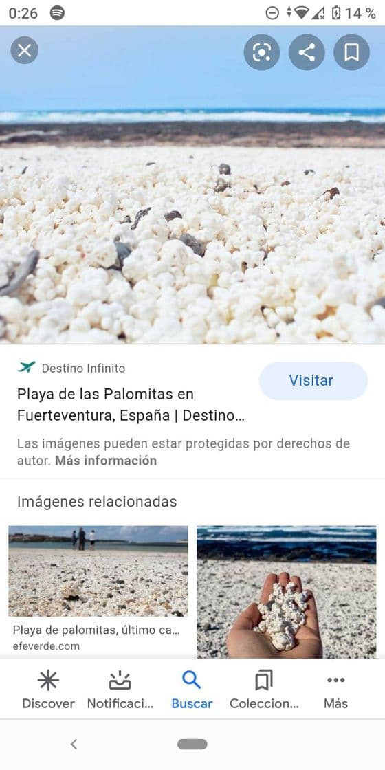 Place Playa de las palomitas🍿🍿