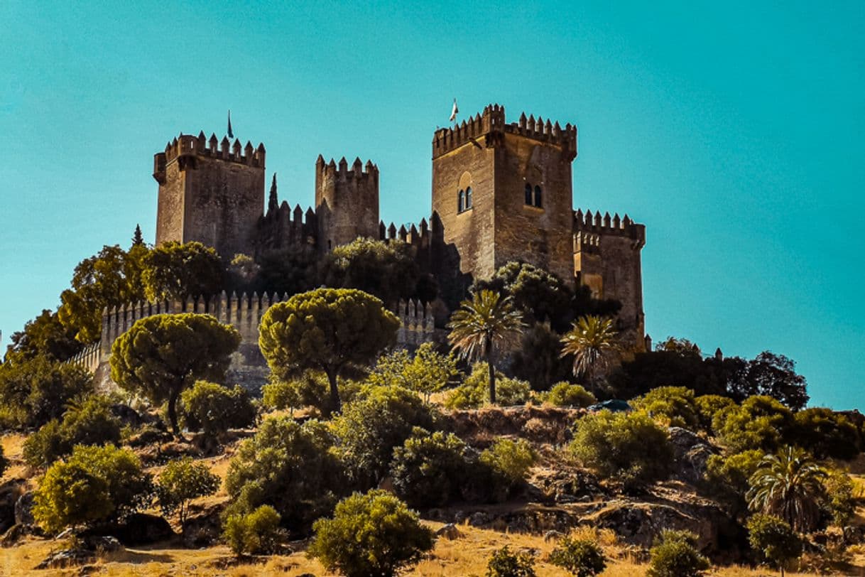 Place Castillo Almodóvar del Río