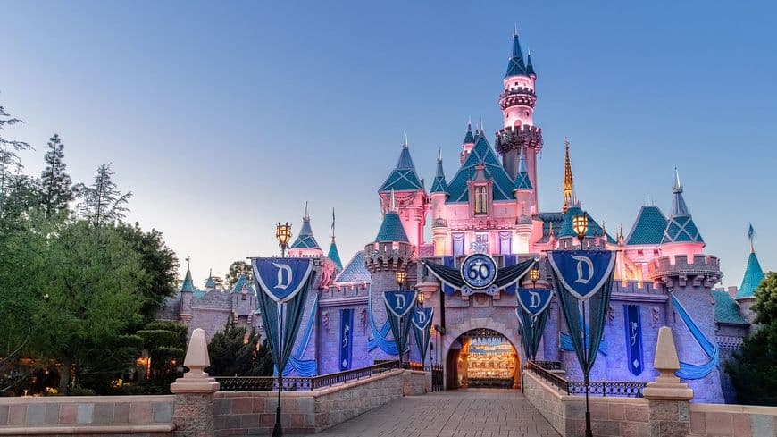 Place Disneyland