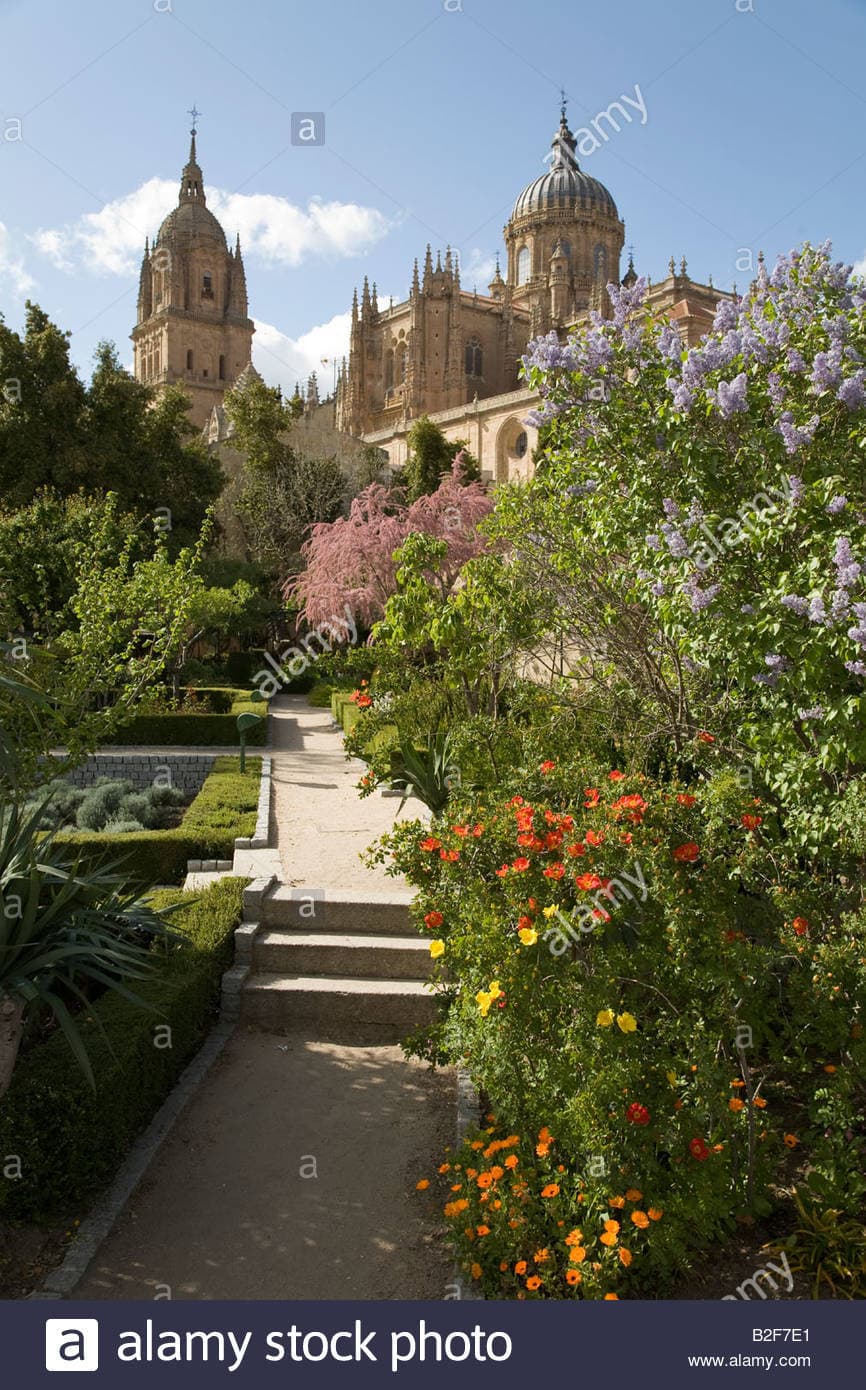 Lugar Huerto de Calixto y Melibea