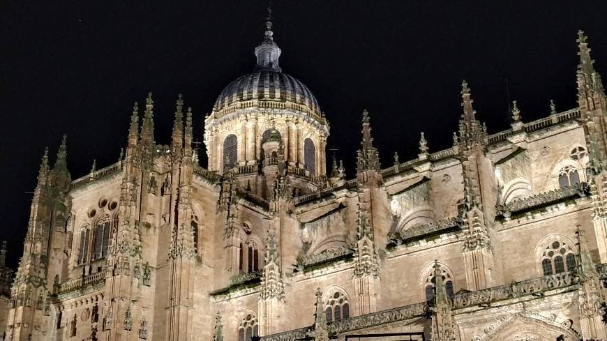 Lugar Catedral de Salamanca