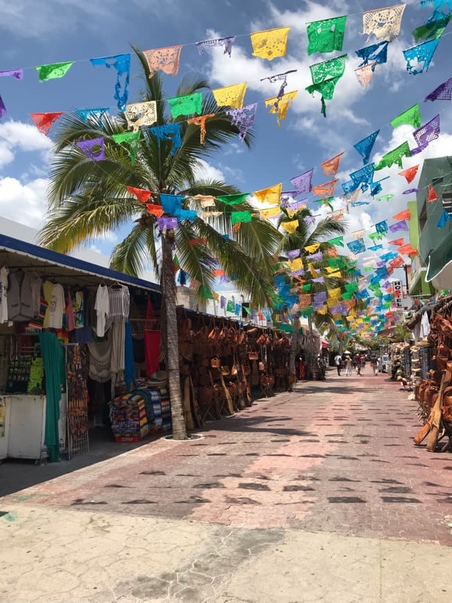 Lugar Quinta Avenida