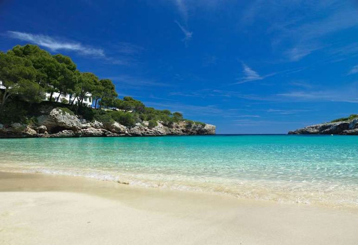 Place Cala Esmeralda Beach