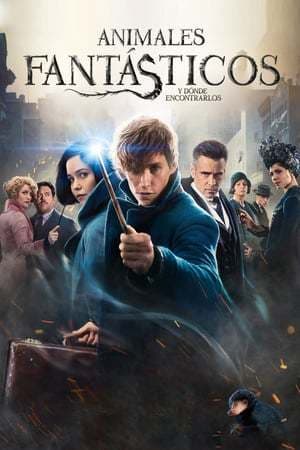 Película Fantastic Beasts and Where to Find Them