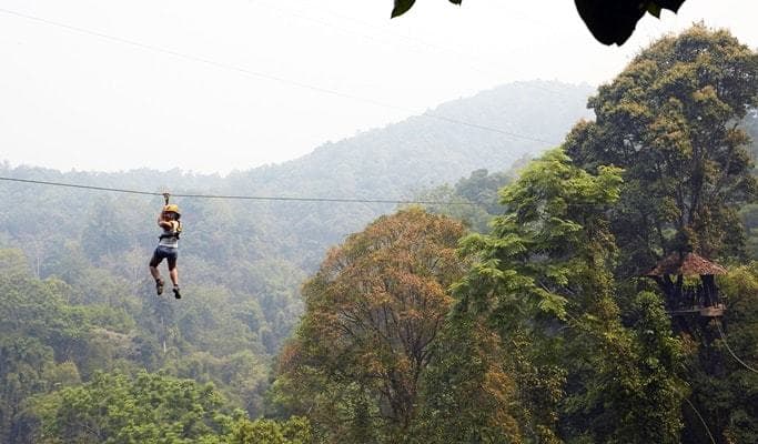 Place Flight of the Gibbon - Chiang Mai