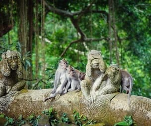 Place Sacred Monkey Forest Sanctuary