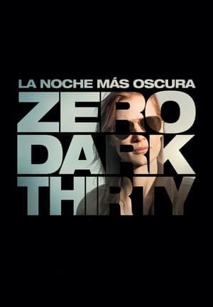 Movie Zero Dark Thirty