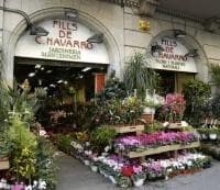 Lugar Floristería Navarro