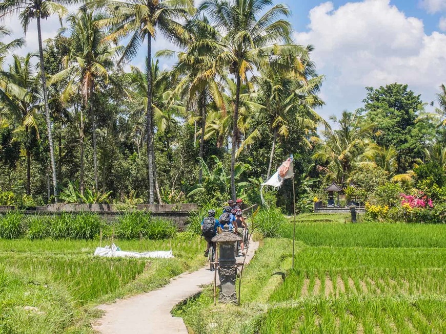 Lugar Ubud