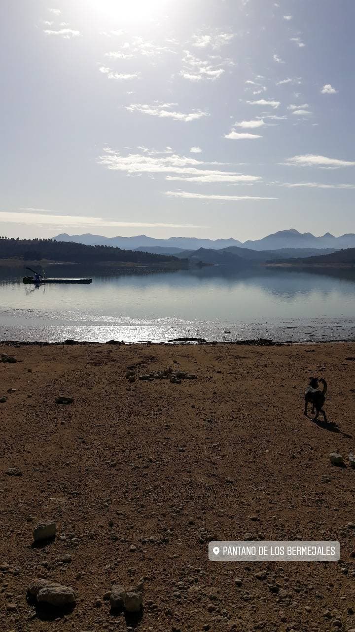 Lugar Pantano de los Bermejales