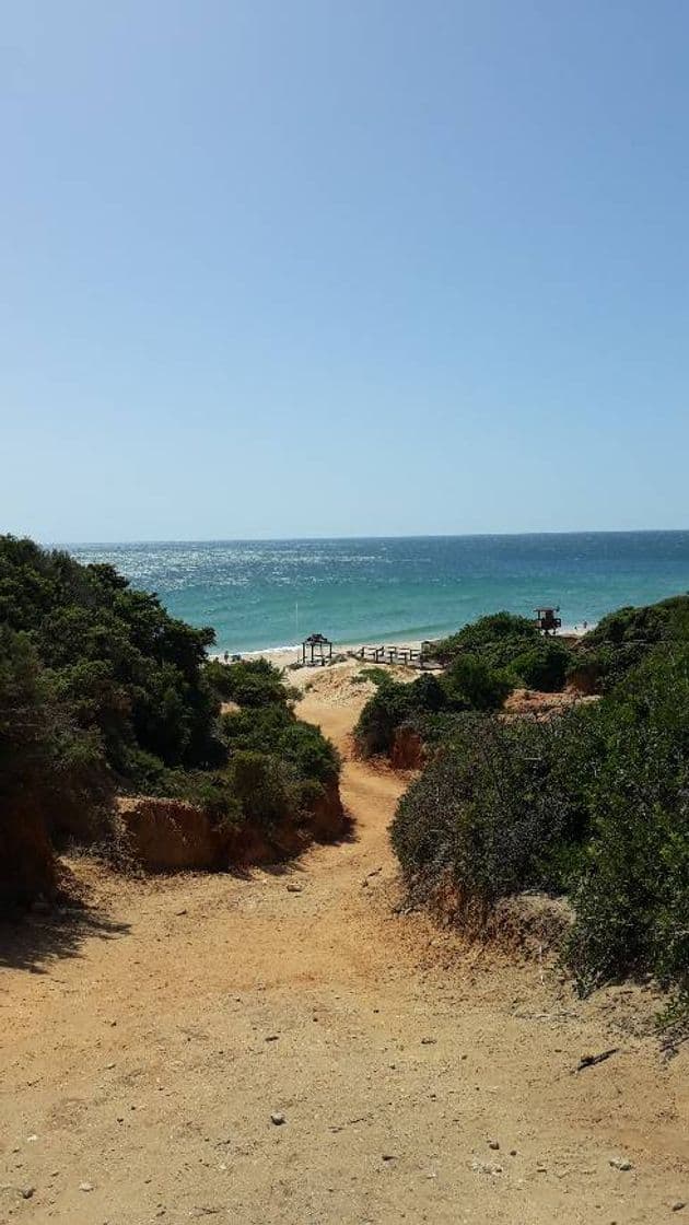 Lugar Cala de Roche