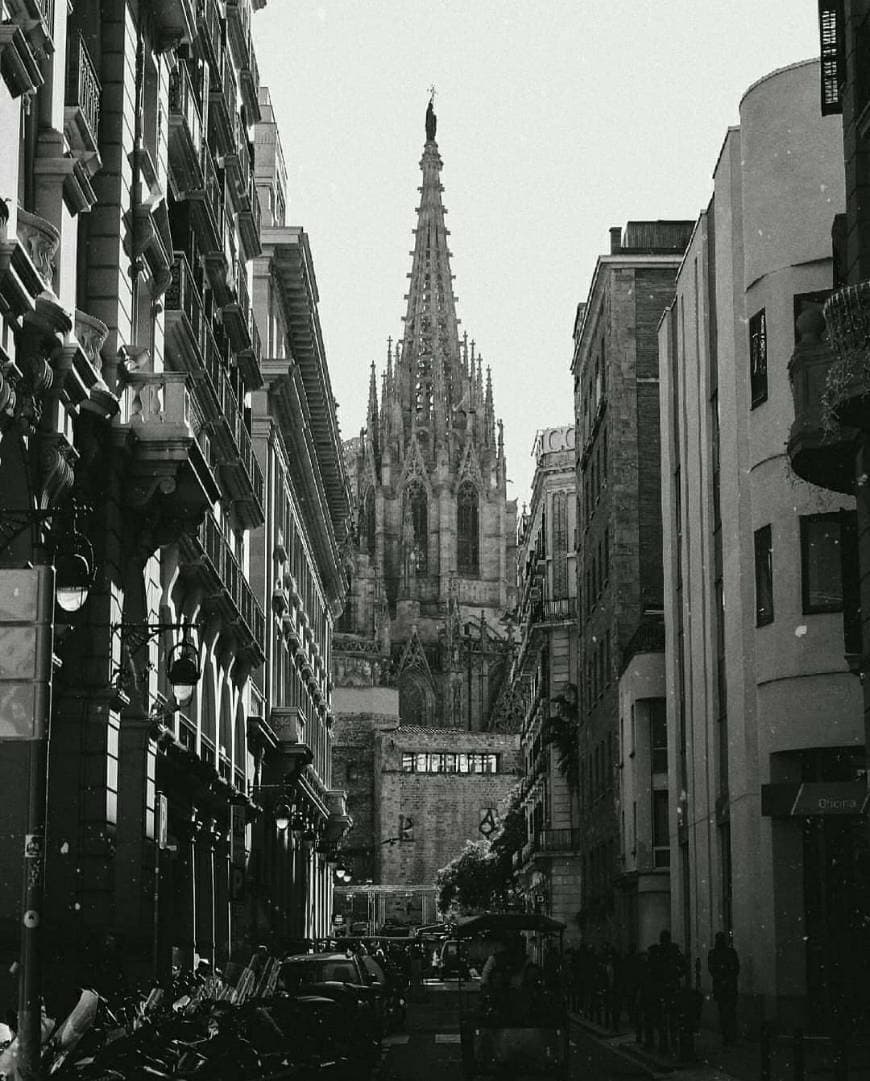 Lugar Catedral de Barcelona