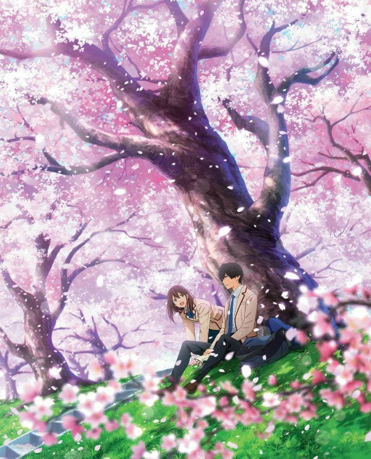 Película I Want to Eat Your Pancreas