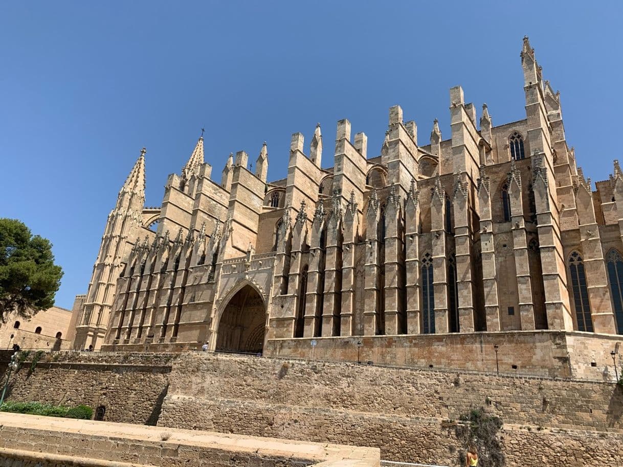 Lugar Catedral-Basílica de Santa María de Mallorca