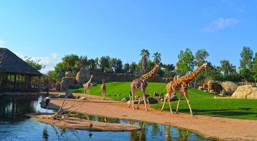 Lugar Bioparc Valencia