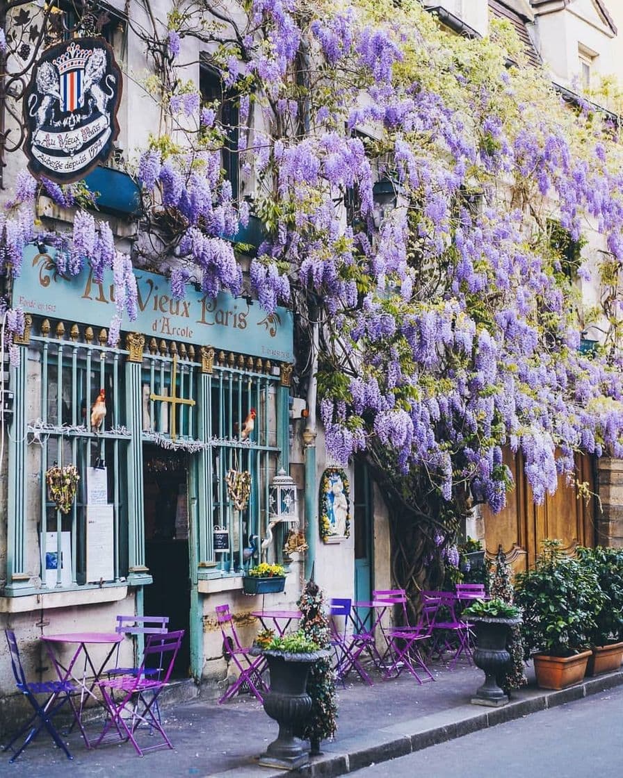 Place Au Vieux Paris d'Arcole