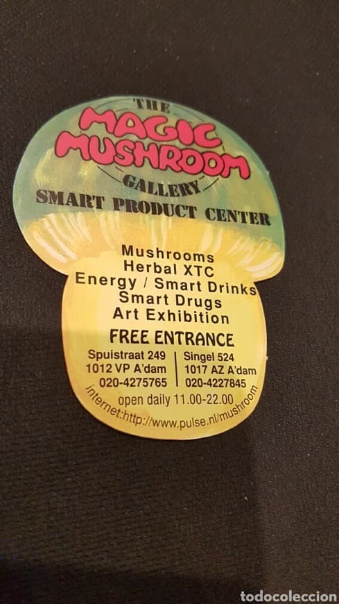 Lugar The Magic Mushroom Gallery