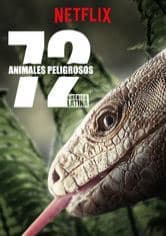 Fashion 72 animales peligrosos: América Latina | Sitio oficial de Netflix