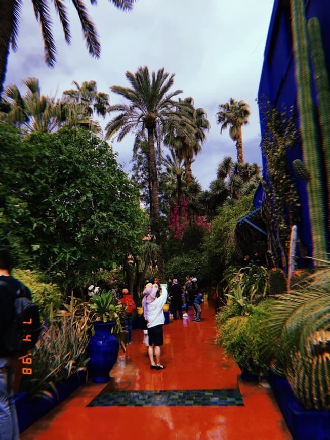 Place Jardín Majorelle