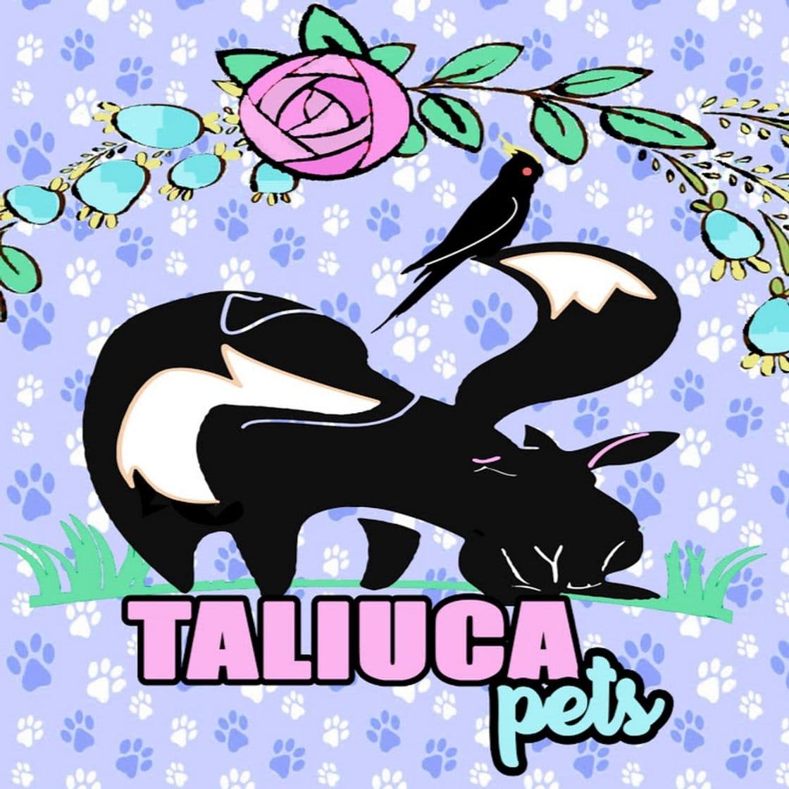 Moda Taliuca Pets - YouTube