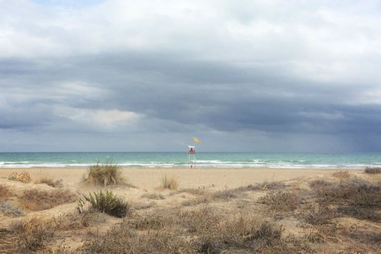 Restaurantes Playa Del Gurugu