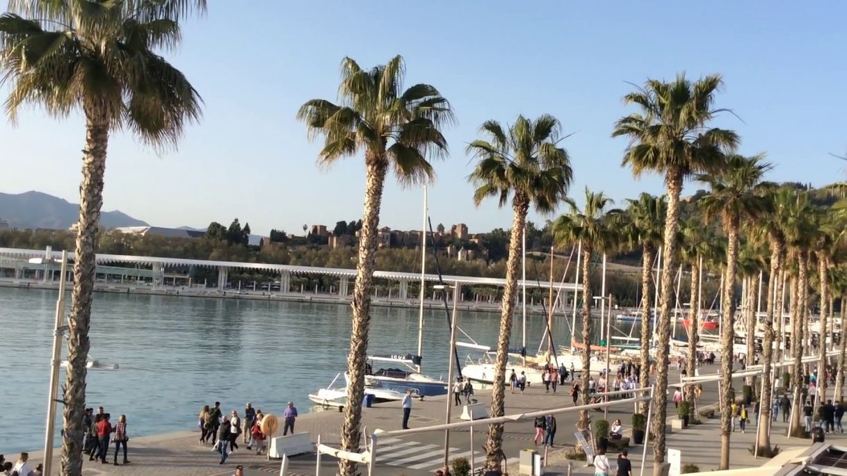 Restaurantes Paseo del Muelle Uno