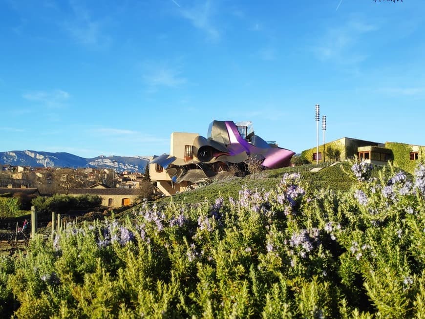 Restaurants Bodegas Marqués De Riscal