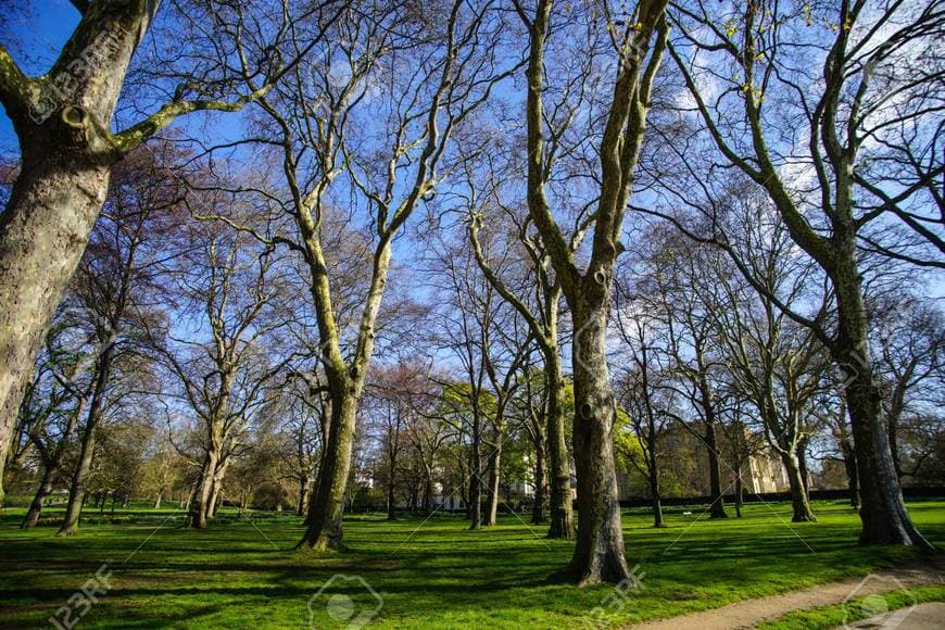 Place Green Park