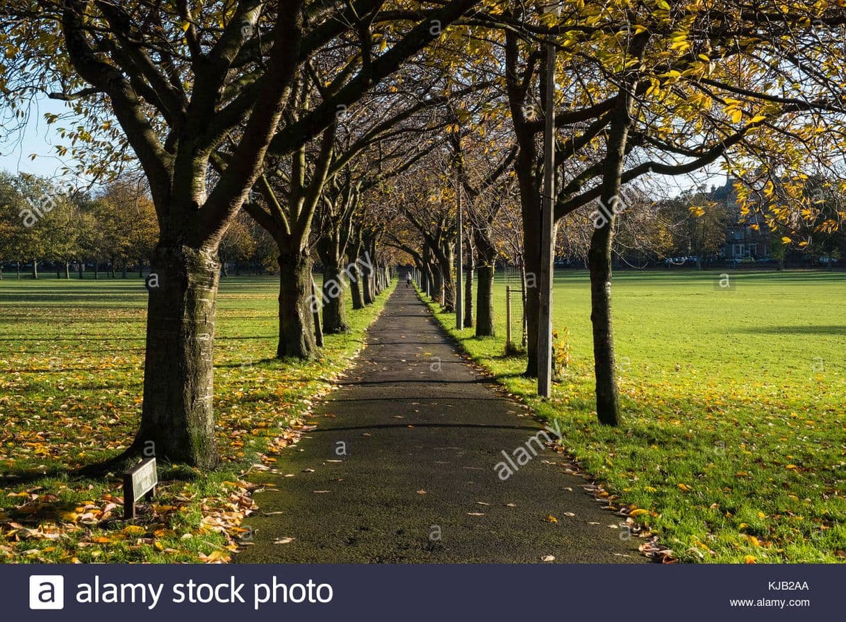 Place Middle Meadow Walk