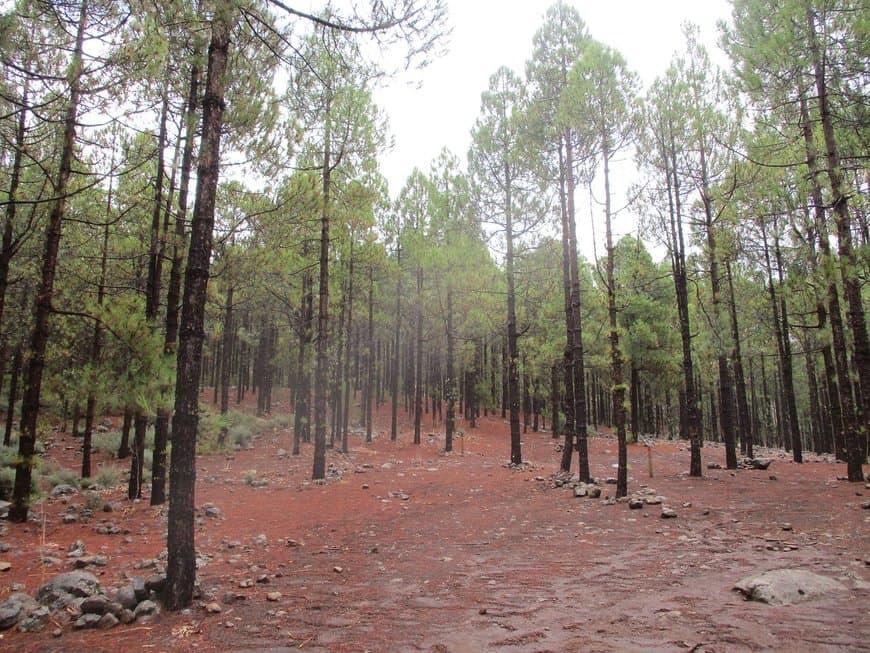 Place Llanos De La Pez