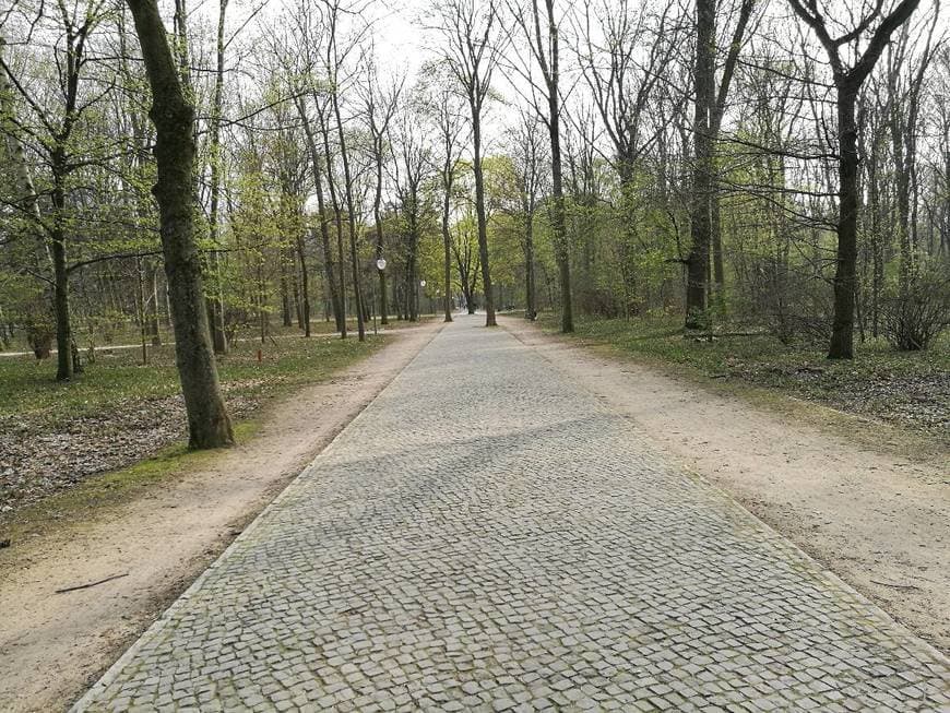 Lugar Tiergarten