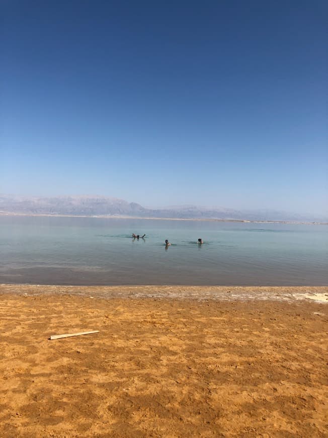 Lugar Dead Sea Beach