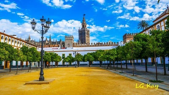 Place Patio Banderas