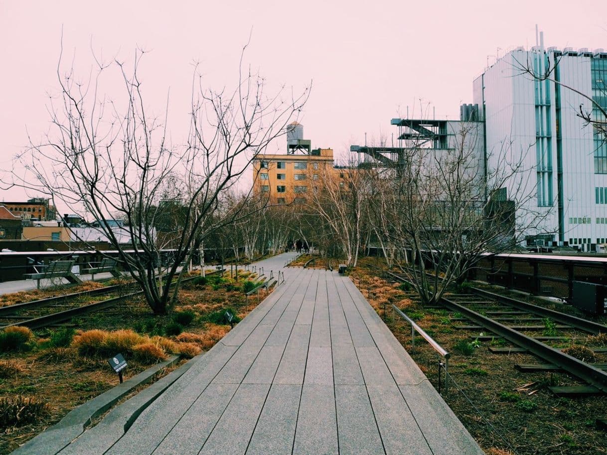 Place The High Line