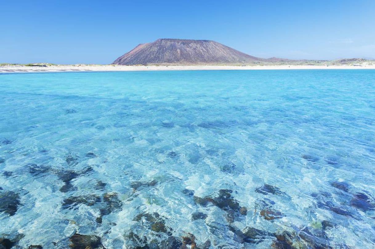 Lugar Isla de Lobos