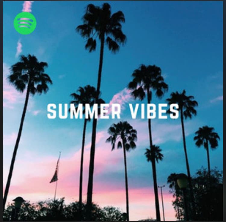 Music 🌴 Summer Vibes