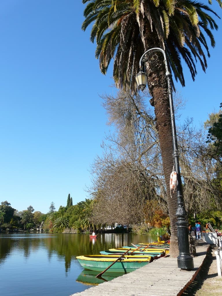 Lugar Paseo del Bosque