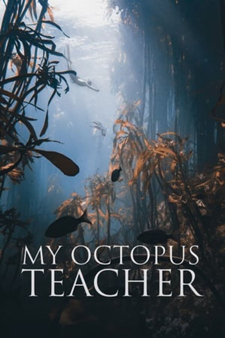 Película My Octopus Teacher