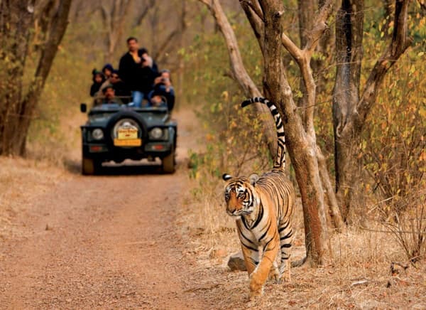 Place Nagarhole National Park And Tiger Reserve