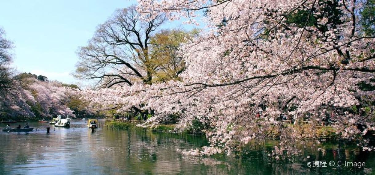 Lugar Inokashira-Park