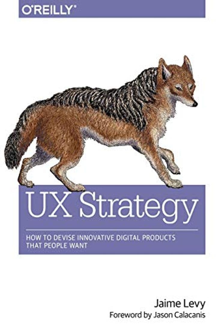 Book UX Strategy: How to Devise Innovative Digital Products that People Want