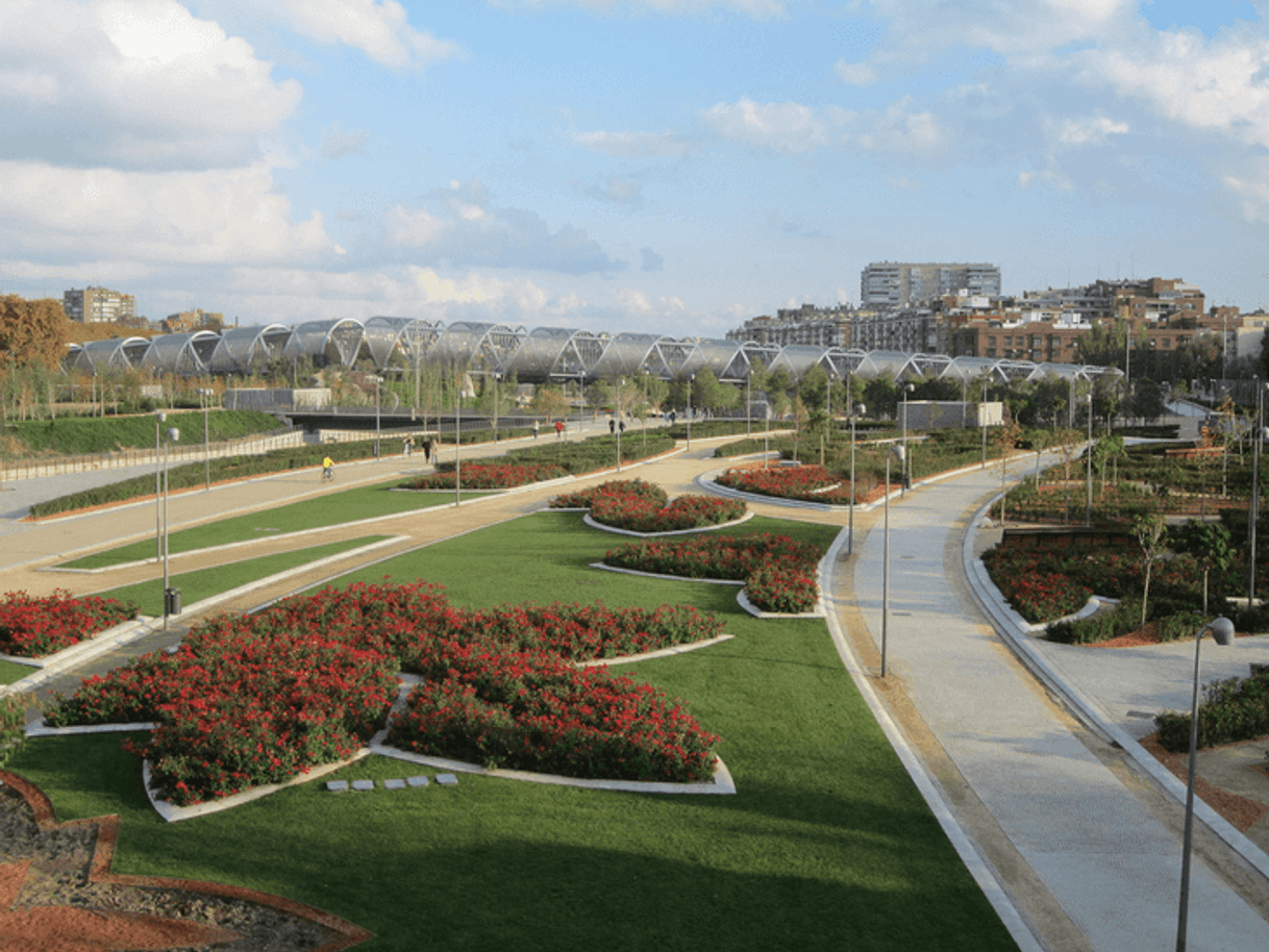 Lugar Parque Madrid Río