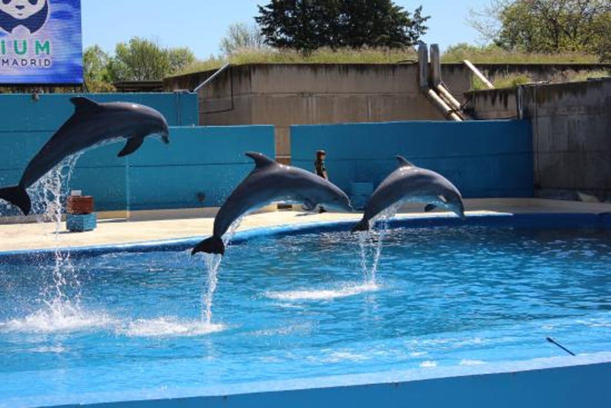 Lugar Zoo Aquarium de Madrid