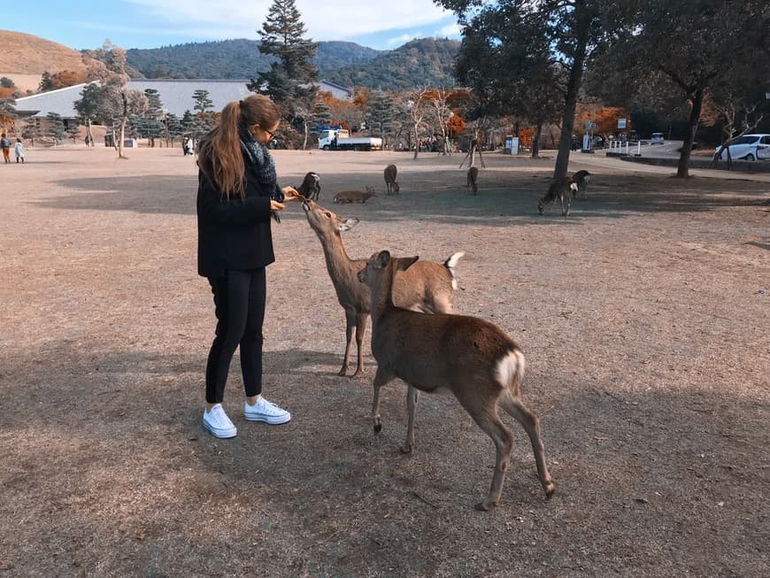 Place Nara Park