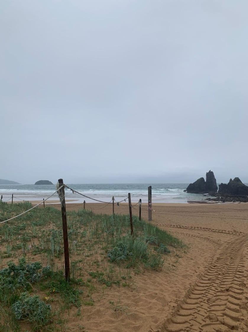 Place Playa de Laga