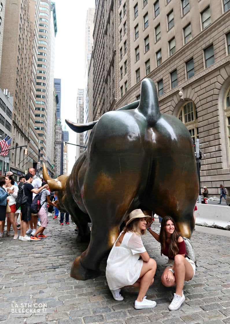 Lugar Toro de Wall Street