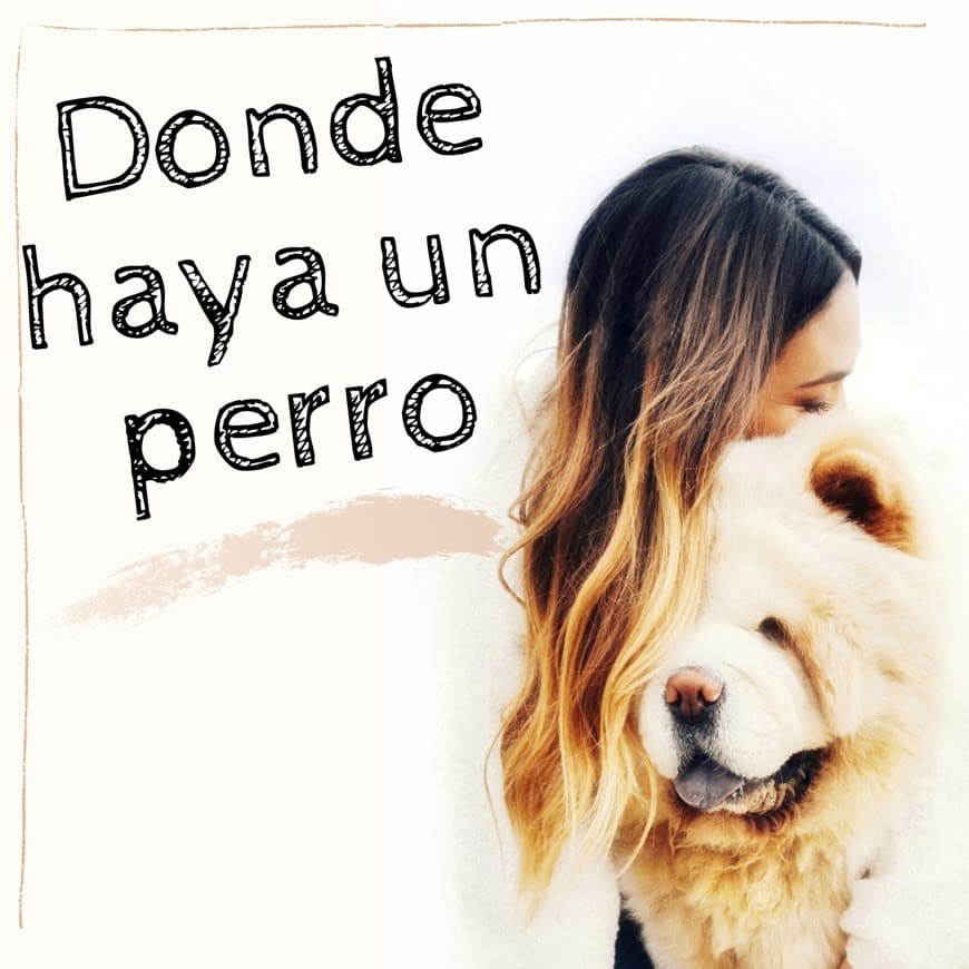 Fashion Podcast: Donde haya un perro